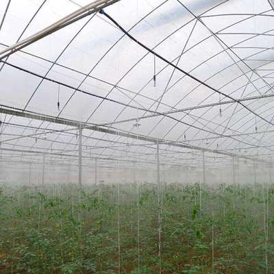 覆盖种植蔬菜大棚怎么样覆盖防虫网