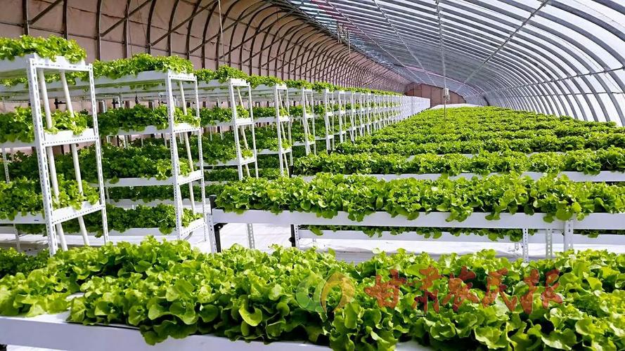 广西贺州农产品加工业发展现状及趋势 广西贺州适合种植什么农产品问